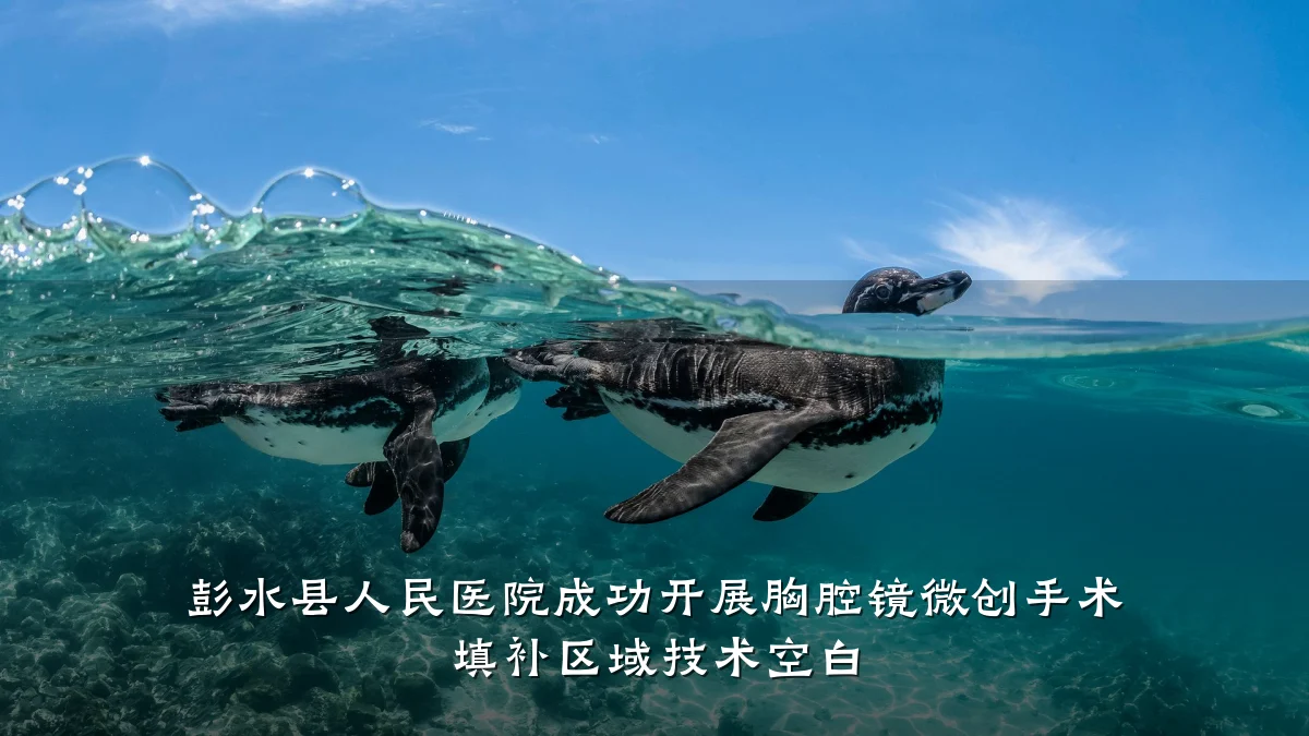 彭水县人民医院成功开展胸腔镜微创手术 填补区域技术空白