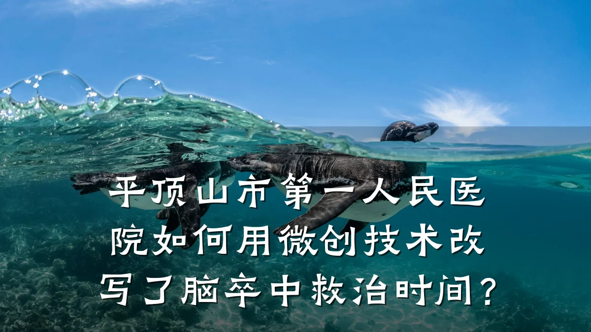 平顶山市第一人民医院如何用微创技术改写了脑卒中救治时间?