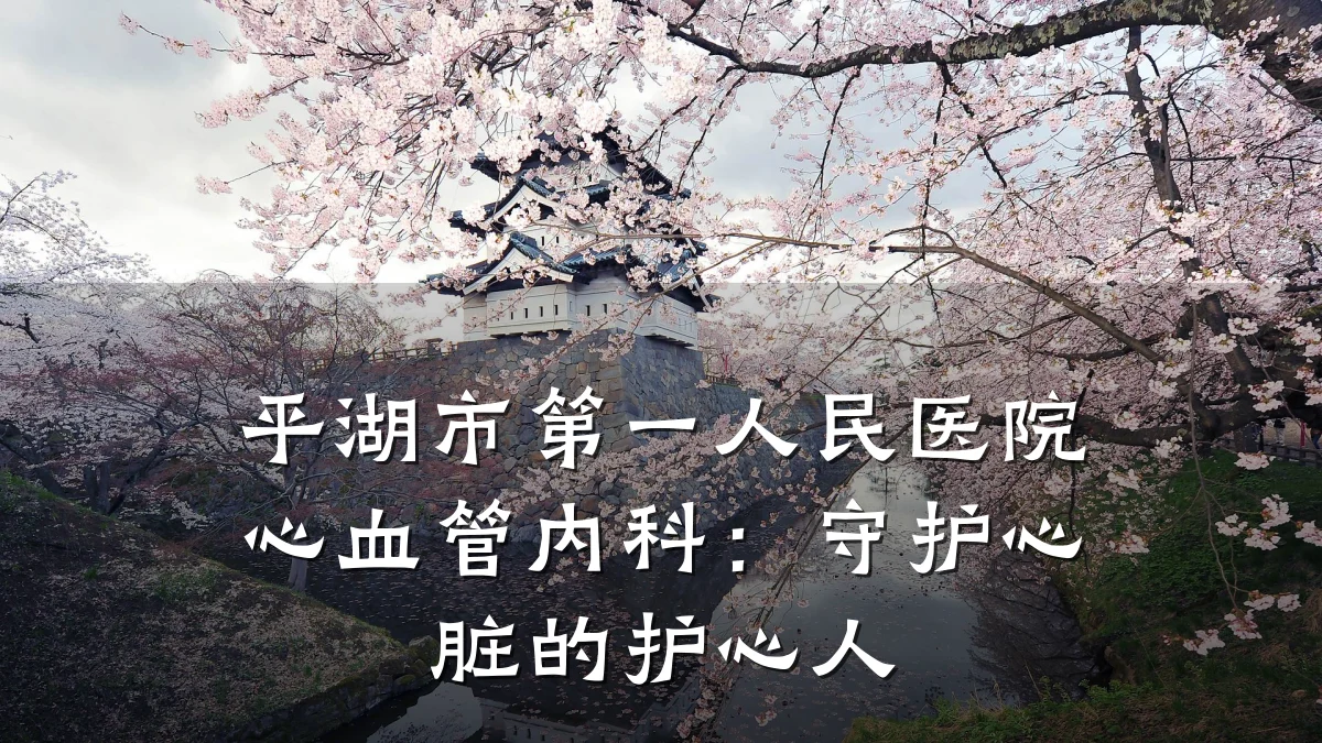 平湖市第一人民医院心血管内科:守护心脏的护心人