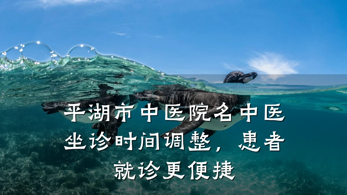 平湖市中医院名中医坐诊时间调整,患者就诊更便捷