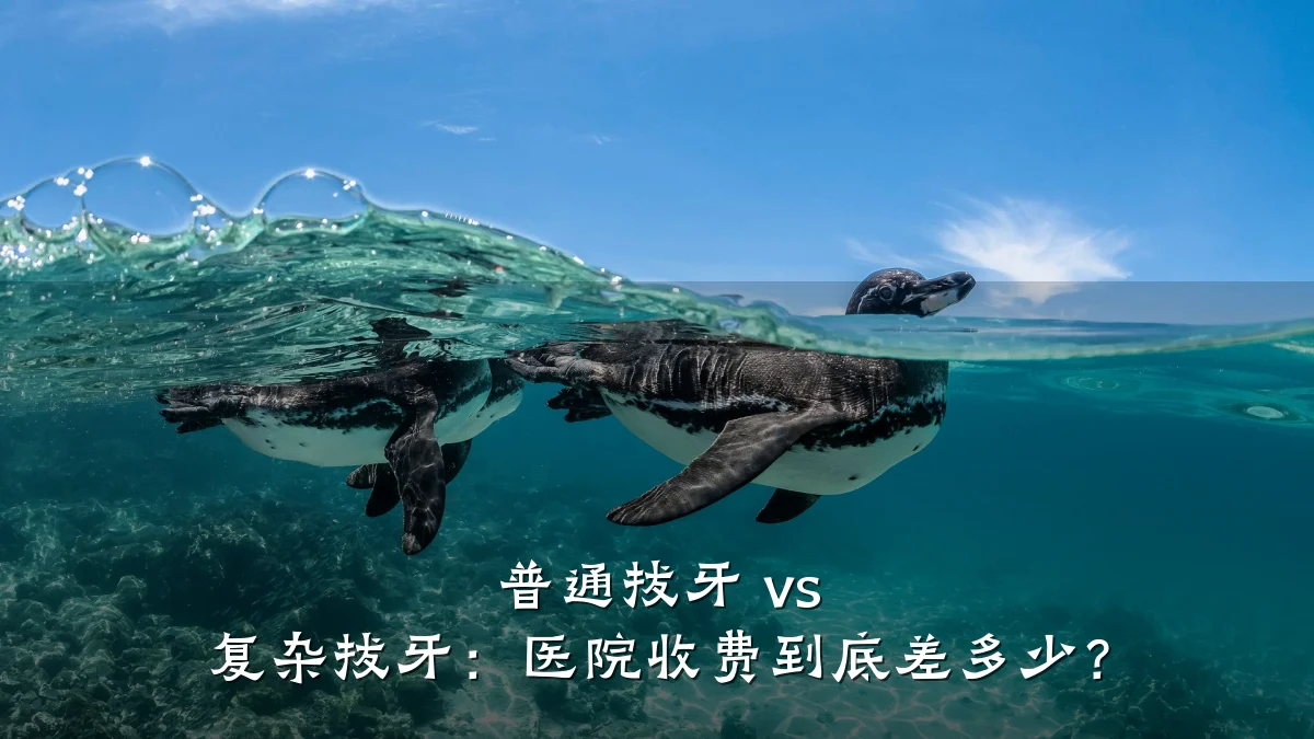 普通拔牙 vs 复杂拔牙:医院收费到底差多少?