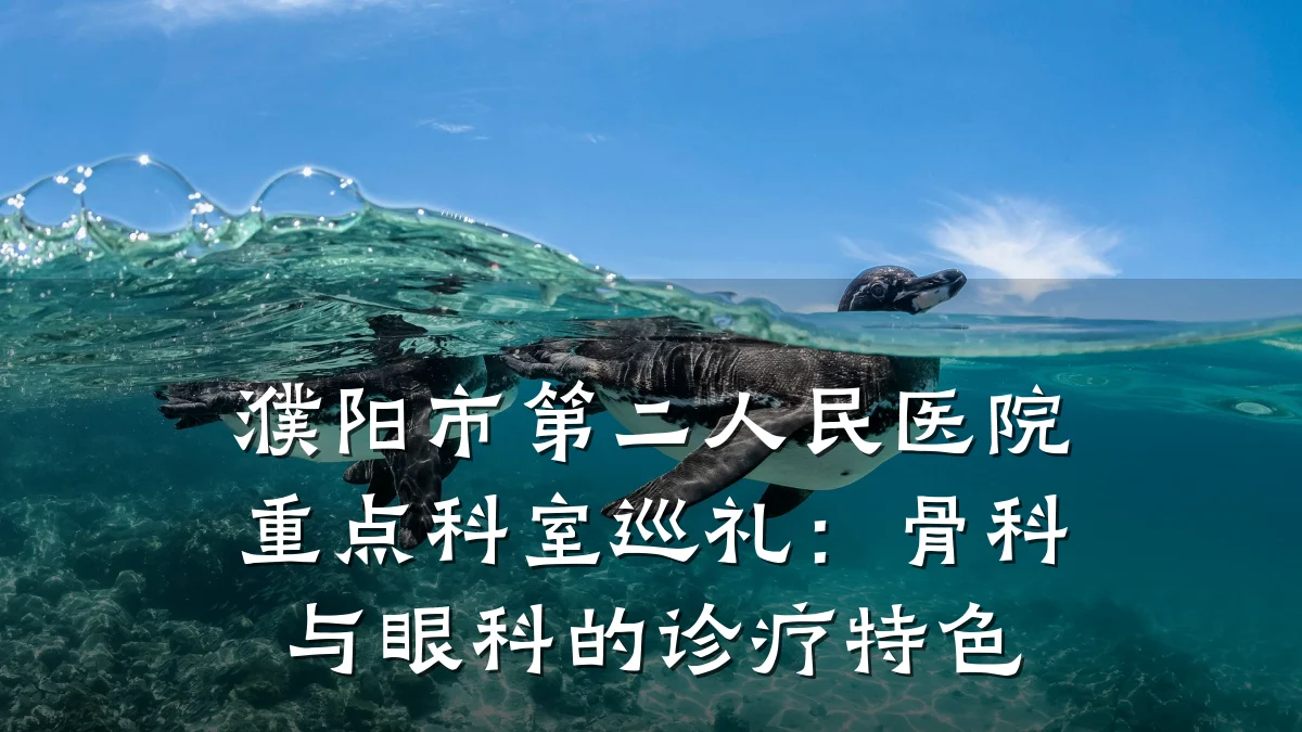 濮阳市第二人民医院重点科室巡礼：骨科与眼科的诊疗特色
