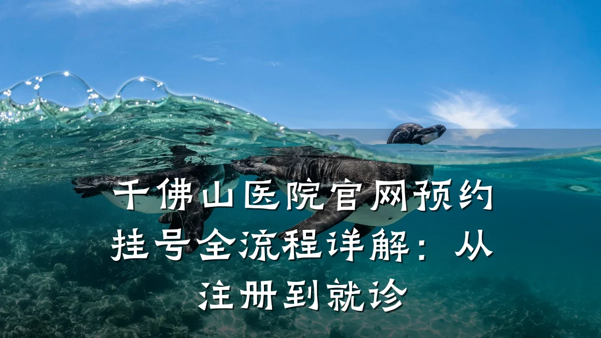 千佛山医院官网预约挂号全流程详解：从注册到就诊