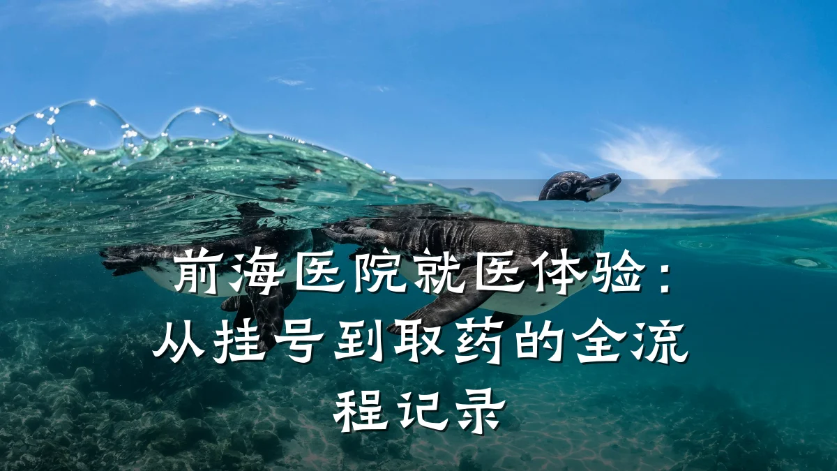 前海医院就医体验:从挂号到取药的全流程记录