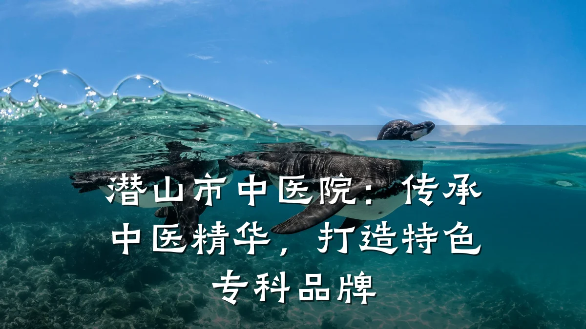潜山市中医院:传承中医精华,打造特色专科品牌