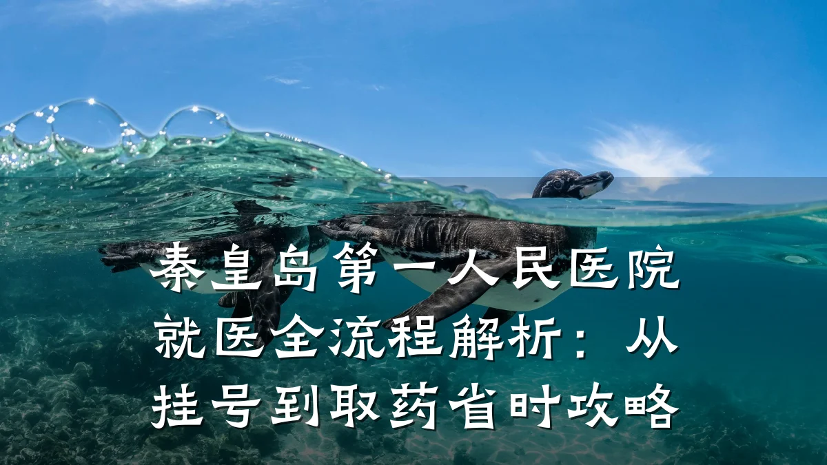 秦皇岛第一人民医院就医全流程解析：从挂号到取药省时攻略
