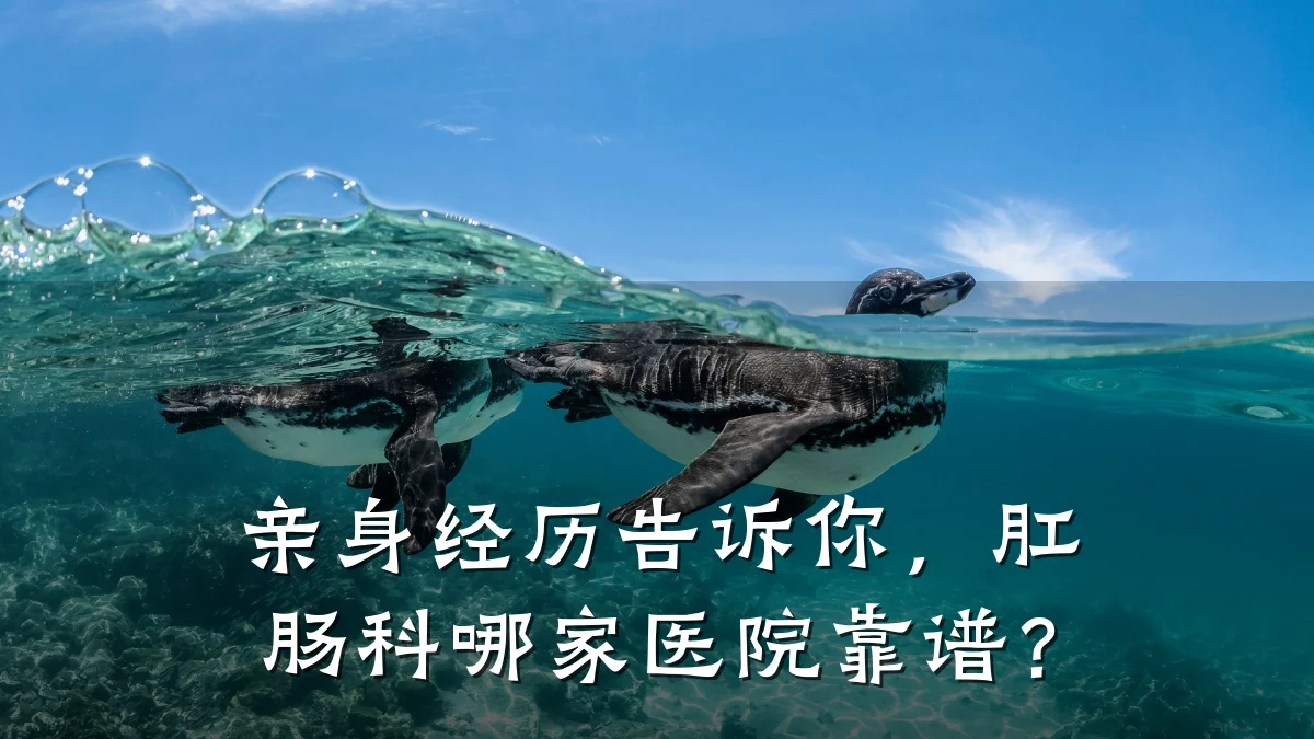 亲身经历告诉你，肛肠科哪家医院靠谱？