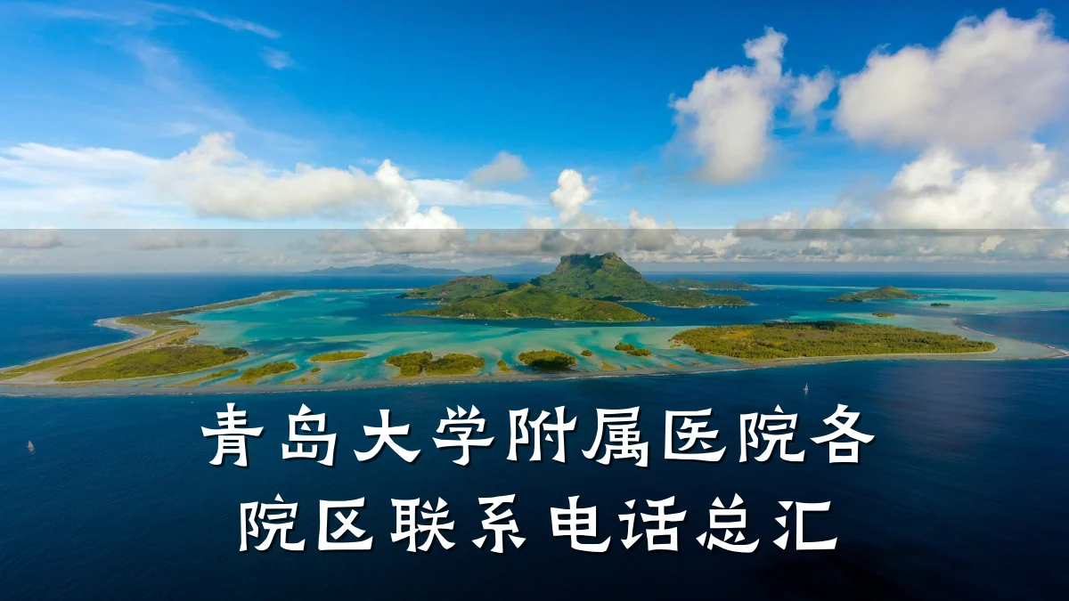 青岛大学附属医院各院区联系电话总汇