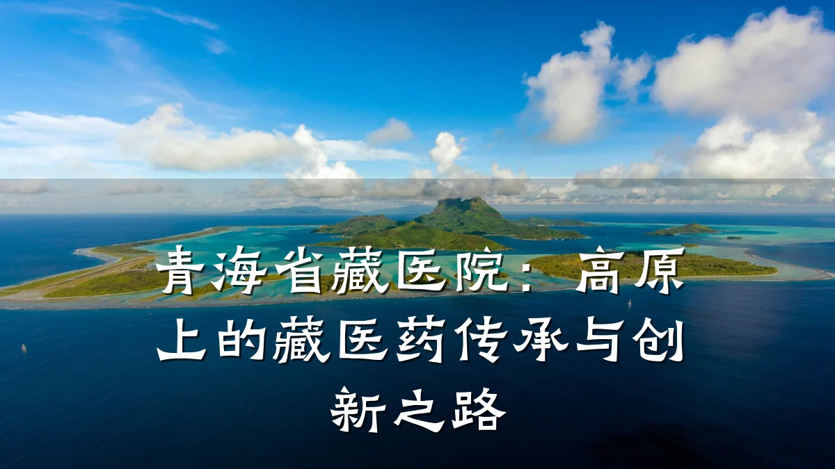 青海省藏医院：高原上的藏医药传承与创新之路