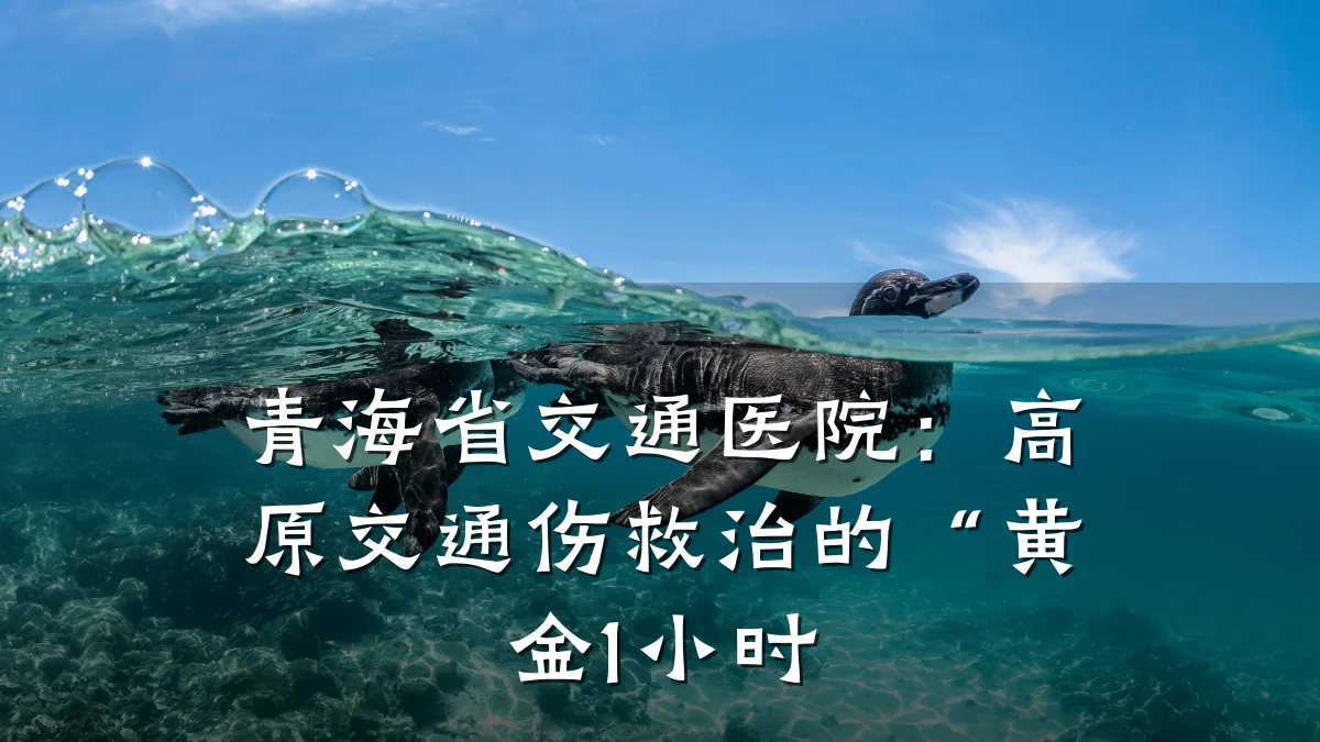 青海省交通医院:高原交通伤救治的“黄金1小时