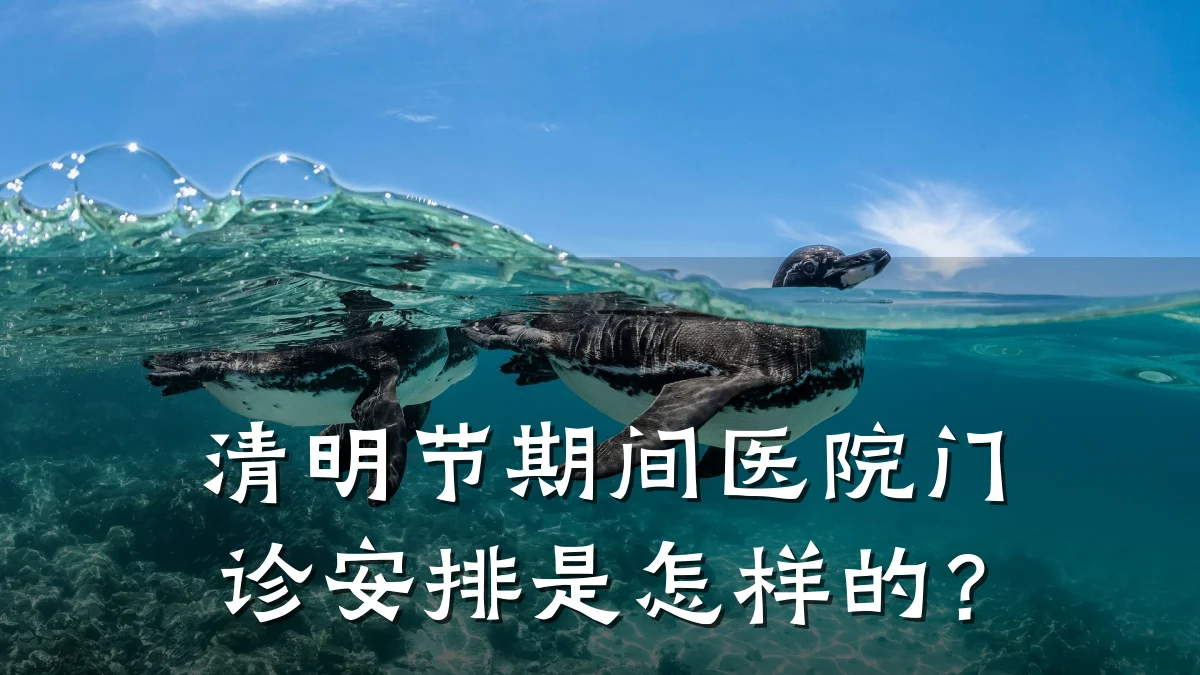 清明节期间医院门诊安排是怎样的?