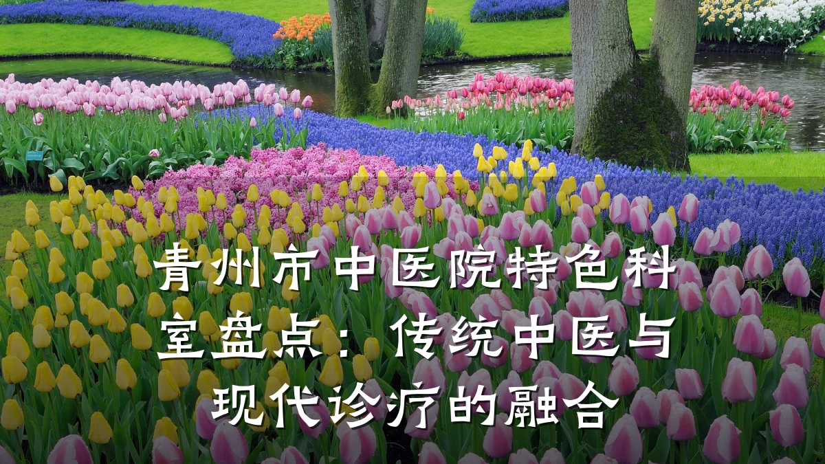 青州市中医院特色科室盘点:传统中医与现代诊疗的融合