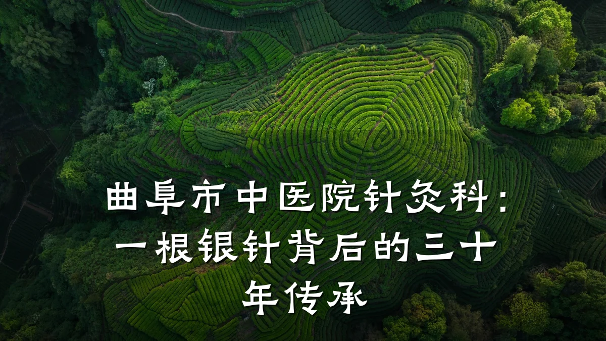 曲阜市中医院针灸科:一根银针背后的三十年传承
