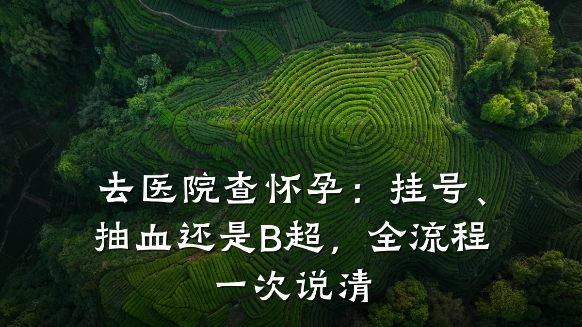 去医院查怀孕:挂号、抽血还是B超,全流程一次说清