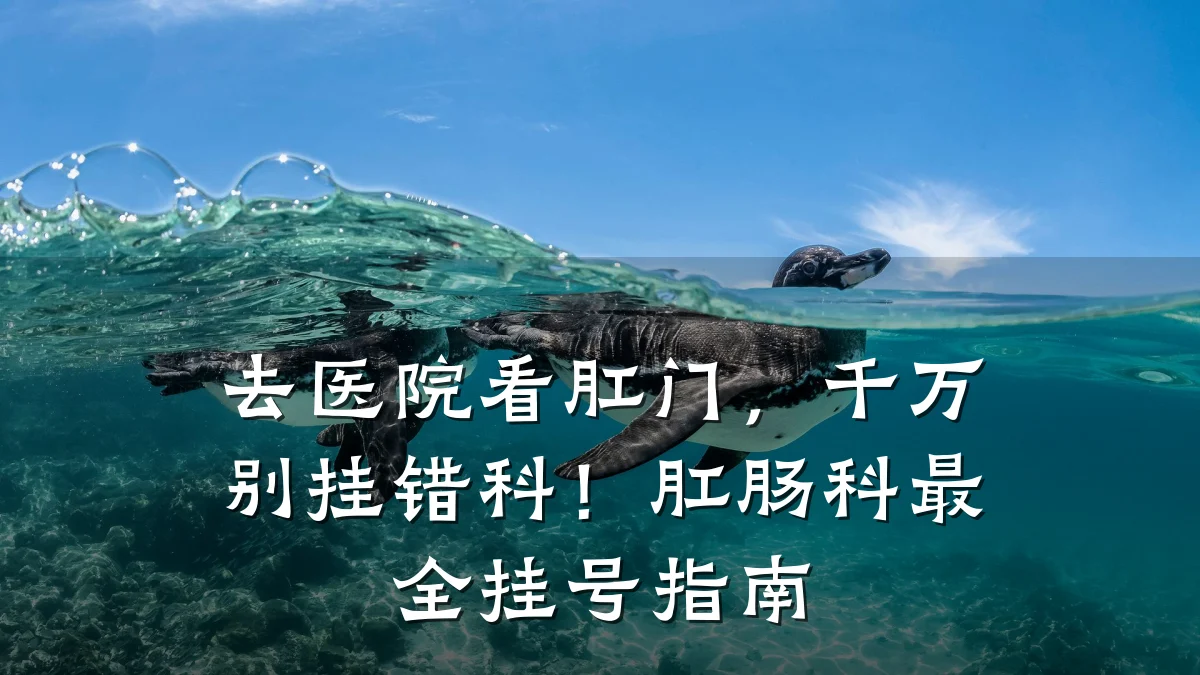 去医院看肛门,千万别挂错科!肛肠科最全挂号指南
