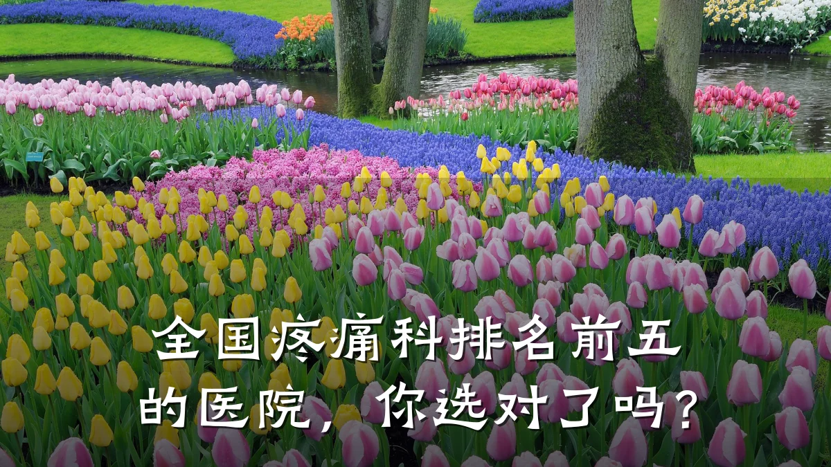 全国疼痛科排名前五的医院,你选对了吗?