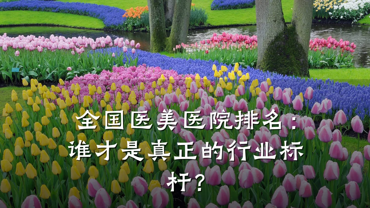 全国医美医院排名:谁才是真正的行业标杆?