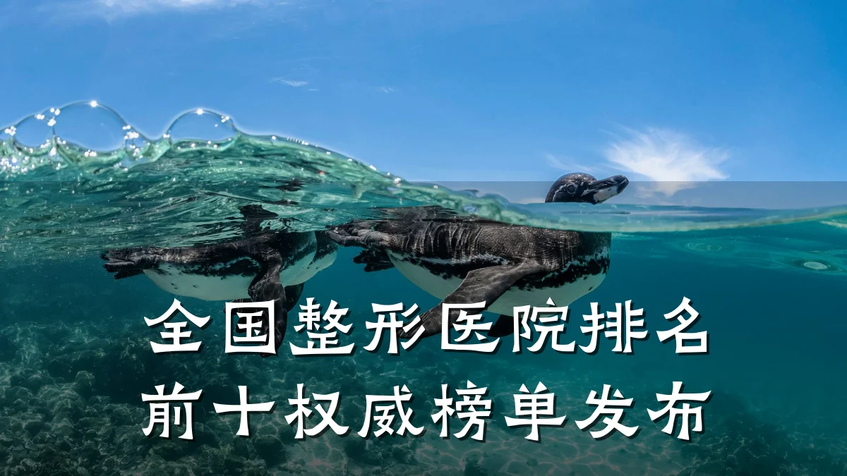 全国整形医院排名前十权威榜单发布