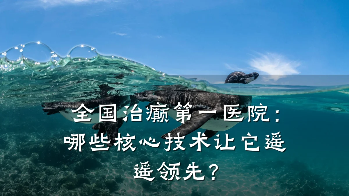 全国治癫第一医院：哪些核心技术让它遥遥领先？