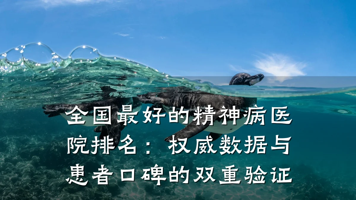 全国最好的精神病医院排名:权威数据与患者口碑的双重验证