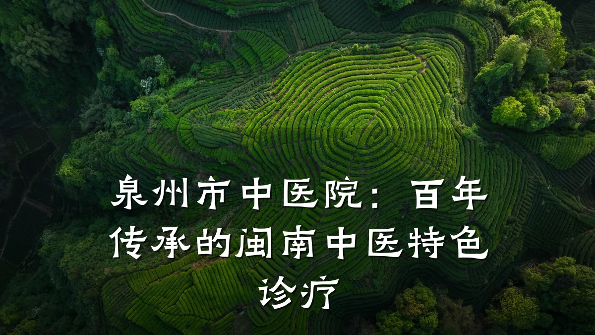 泉州市中医院:百年传承的闽南中医特色诊疗