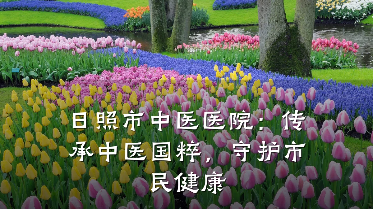日照市中医医院：传承中医国粹，守护市民健康
