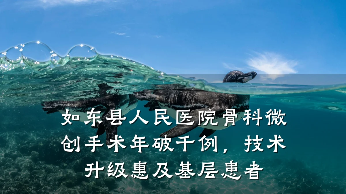 如东县人民医院骨科微创手术年破千例,技术升级惠及基层患者
