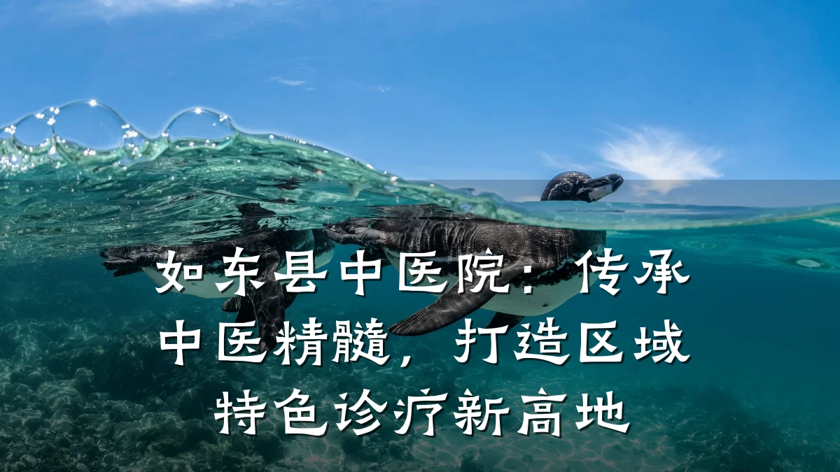 如东县中医院:传承中医精髓,打造区域特色诊疗新高地