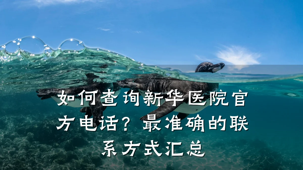 如何查询新华医院官方电话？最准确的联系方式汇总