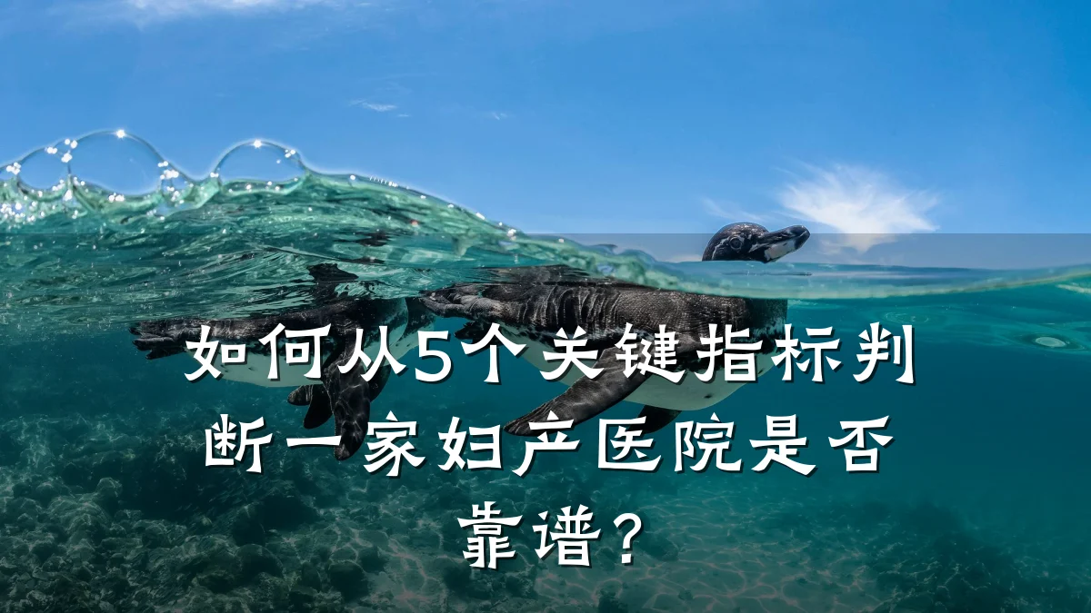 如何从5个关键指标判断一家妇产医院是否靠谱?