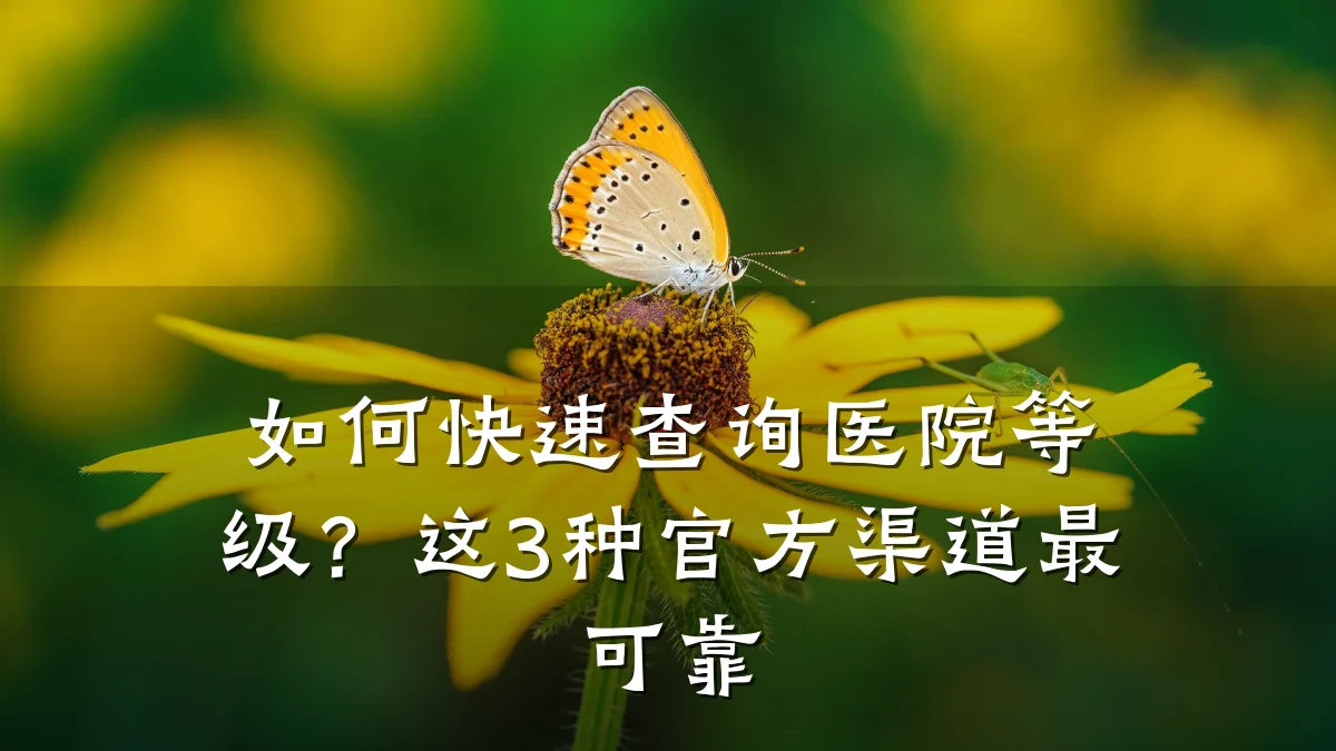 如何快速查询医院等级？这3种官方渠道最可靠