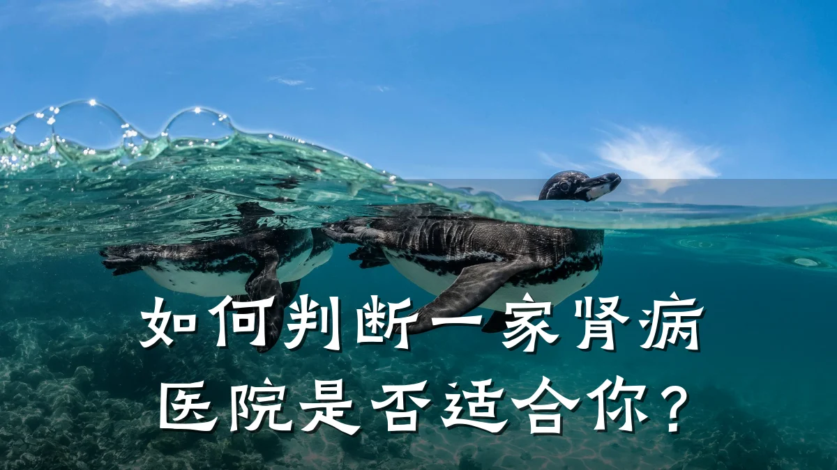如何判断一家肾病医院是否适合你?