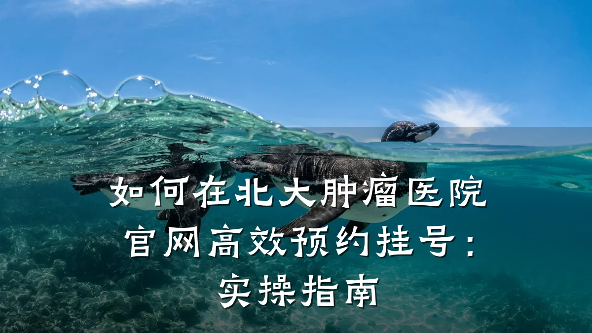 如何在北大肿瘤医院官网高效预约挂号:实操指南