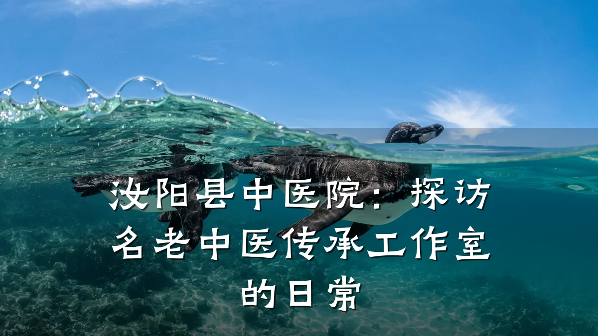 汝阳县中医院:探访名老中医传承工作室的日常