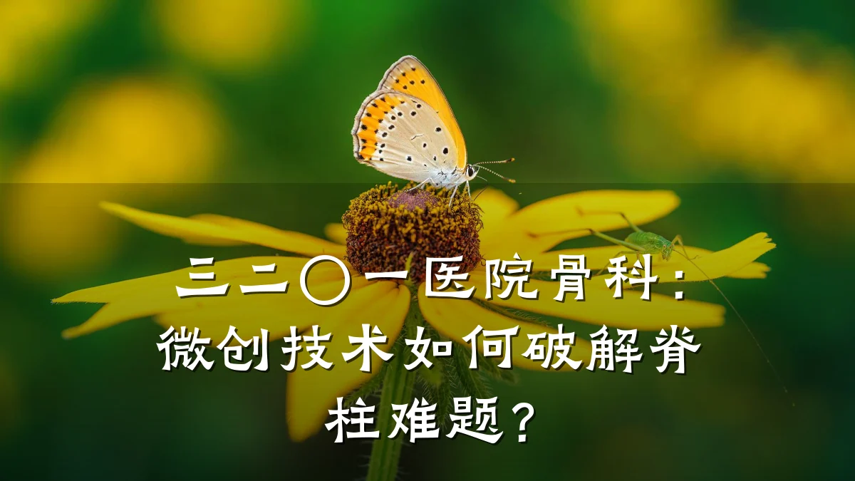 三二〇一医院骨科：微创技术如何破解脊柱难题？