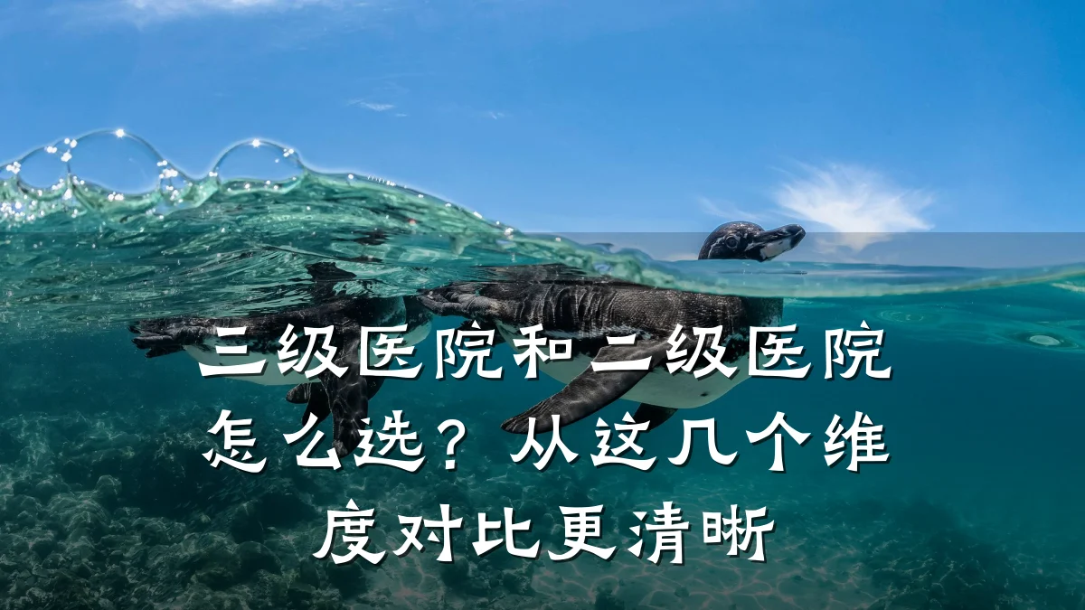 三级医院和二级医院怎么选?从这几个维度对比更清晰