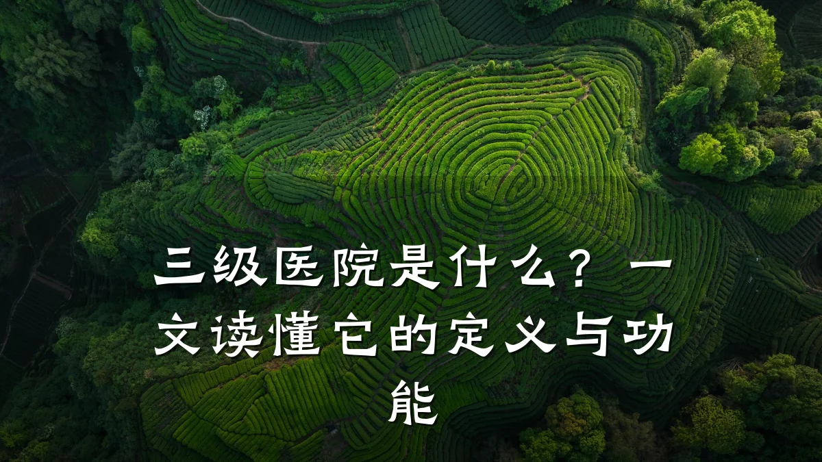 三级医院是什么？一文读懂它的定义与功能