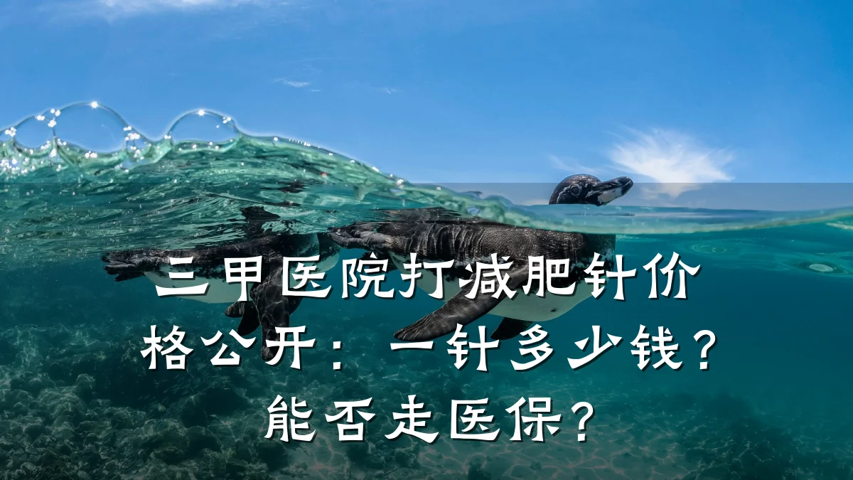 三甲医院打减肥针价格公开:一针多少钱?能否走医保?