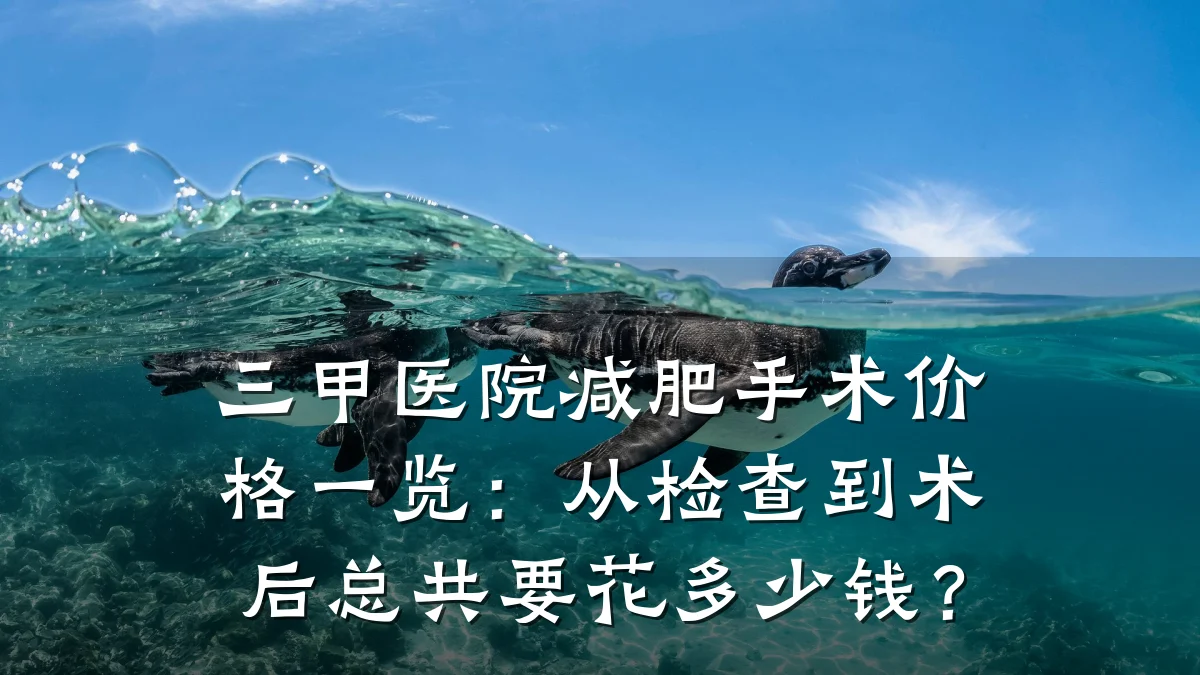 三甲医院减肥手术价格一览:从检查到术后总共要花多少钱?