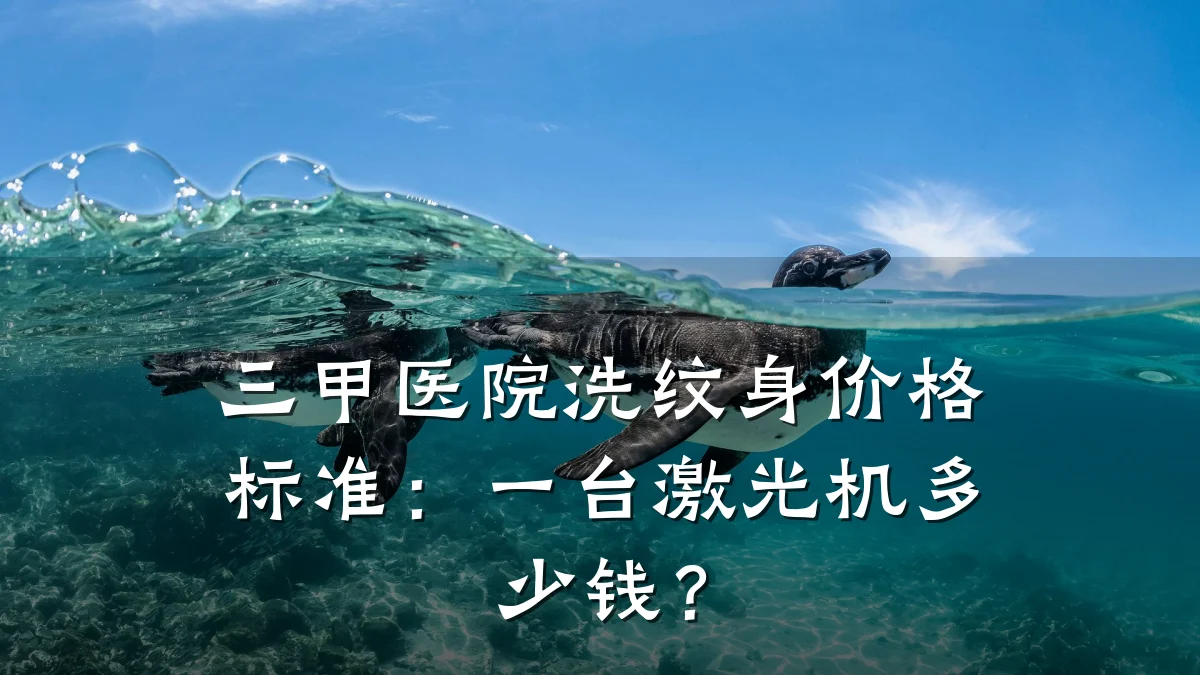 三甲医院洗纹身价格标准:一台激光机多少钱?