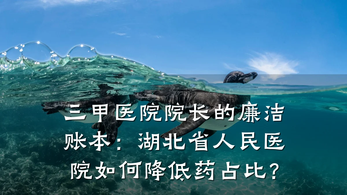 三甲医院院长的廉洁账本:湖北省人民医院如何降低药占比?