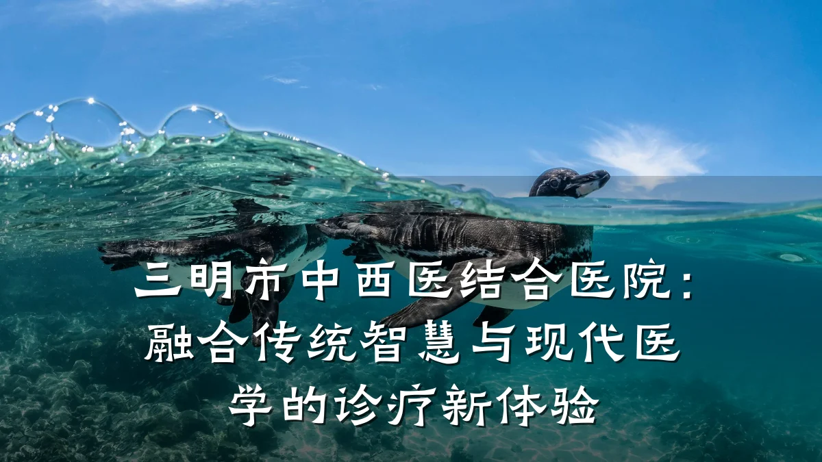 三明市中西医结合医院:融合传统智慧与现代医学的诊疗新体验