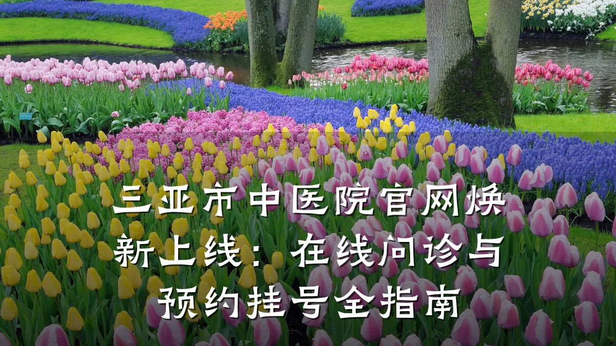 三亚市中医院官网焕新上线:在线问诊与预约挂号全指南