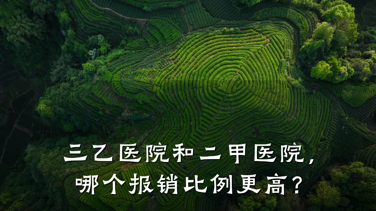 三乙医院和二甲医院，哪个报销比例更高？