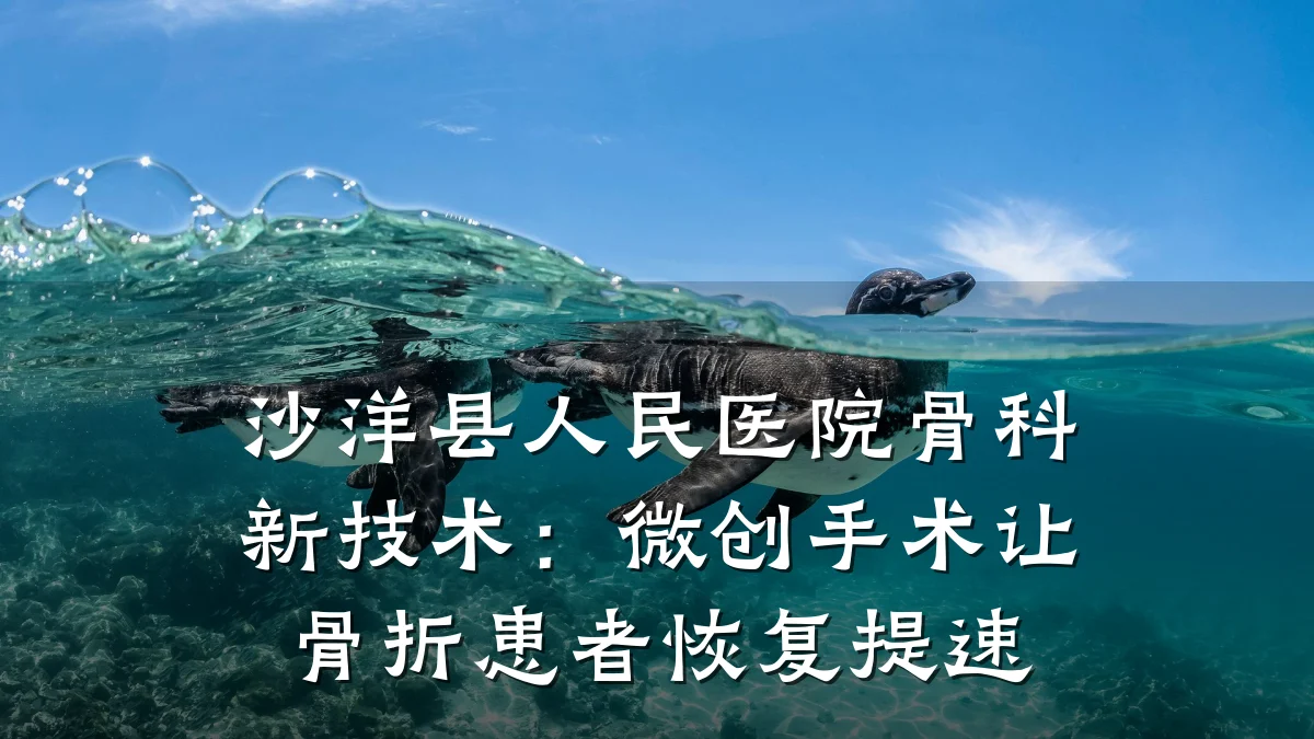 沙洋县人民医院骨科新技术:微创手术让骨折患者恢复提速