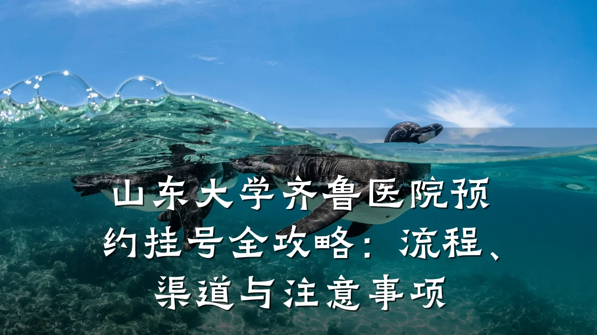 山东大学齐鲁医院预约挂号全攻略：流程、渠道与注意事项