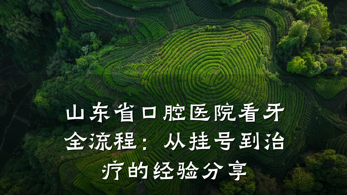 山东省口腔医院看牙全流程：从挂号到治疗的经验分享