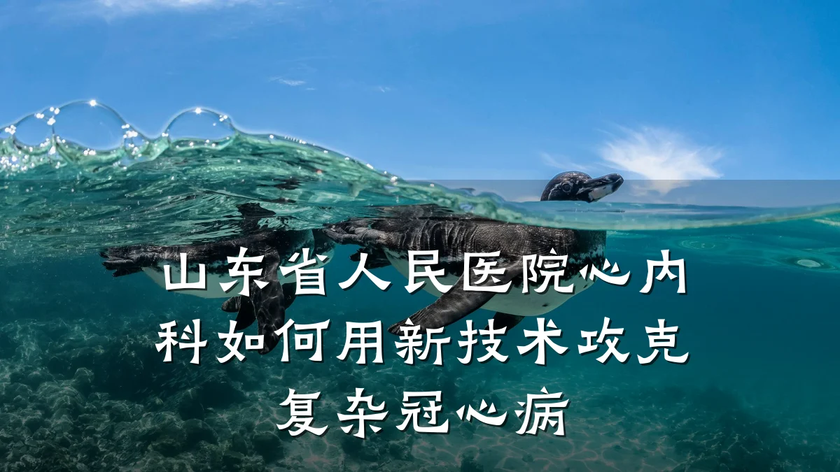 山东省人民医院心内科如何用新技术攻克复杂冠心病
