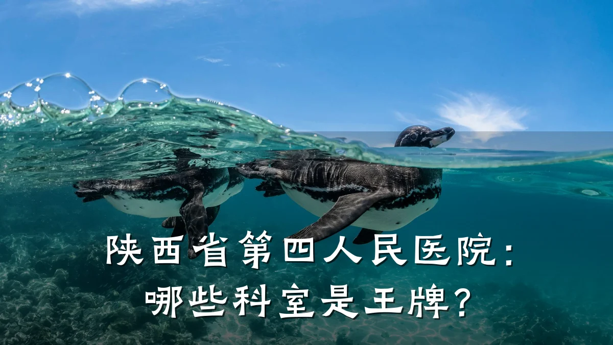 陕西省第四人民医院：哪些科室是王牌？