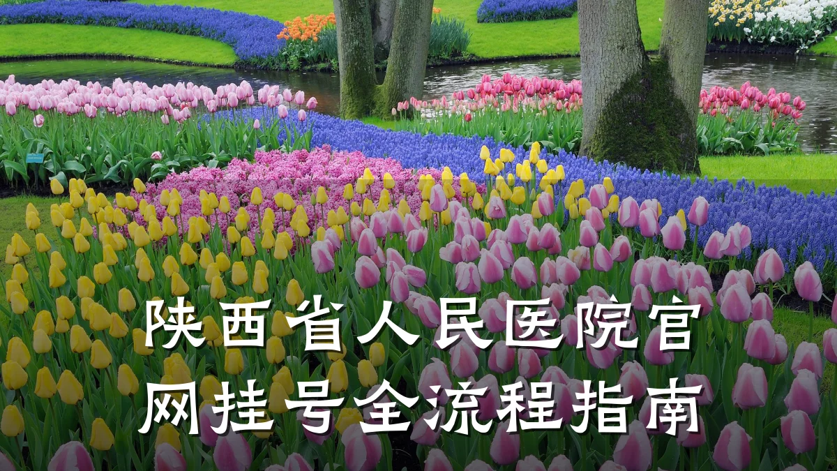 陕西省人民医院官网挂号全流程指南